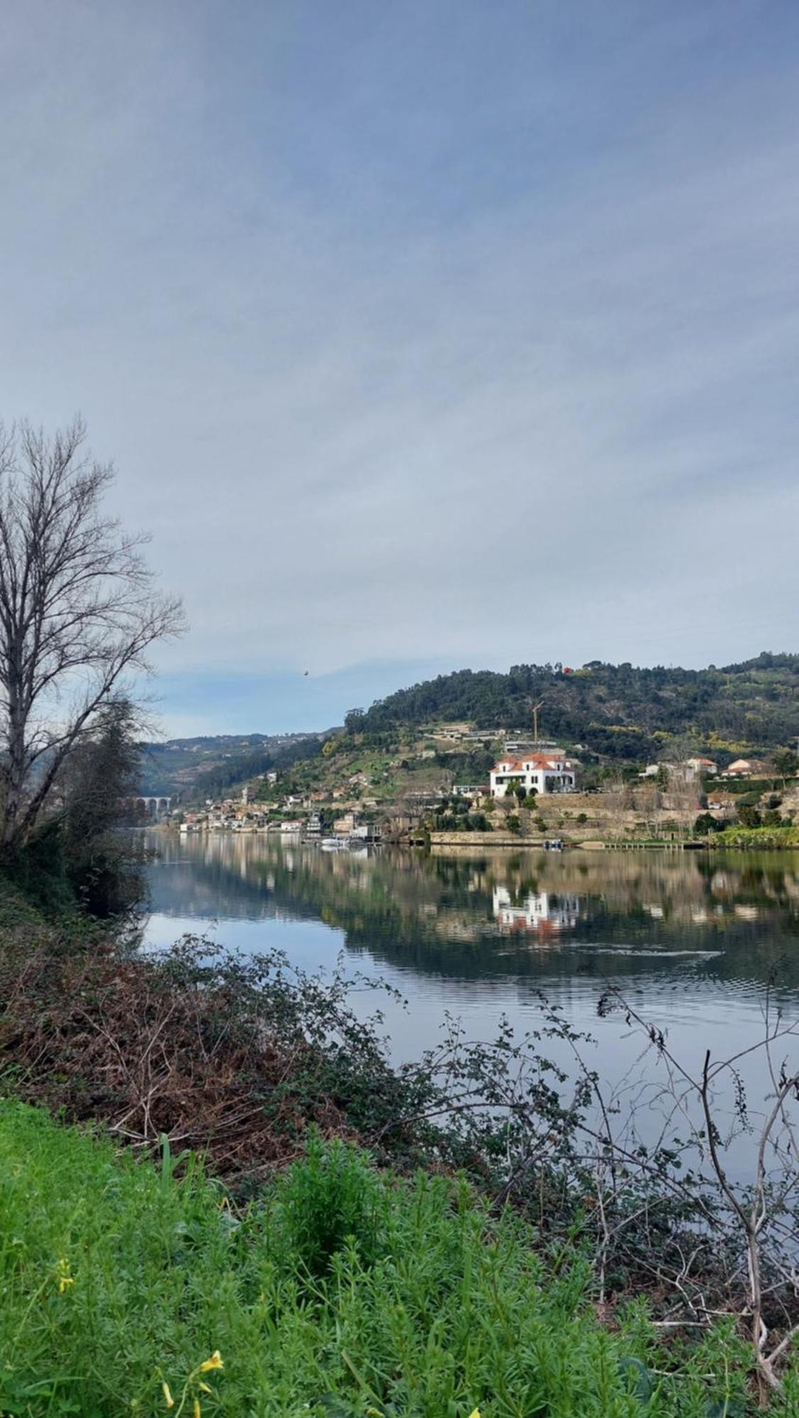 Welcome Douro Cinfães Dış mekan fotoğraf